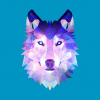 TheWolf_Cz Avatar